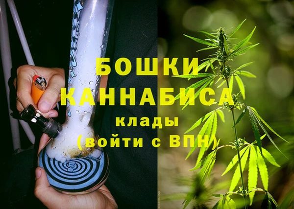 шишки Володарск