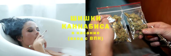 прущие грибы Волоколамск