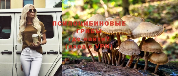 стафф Вяземский
