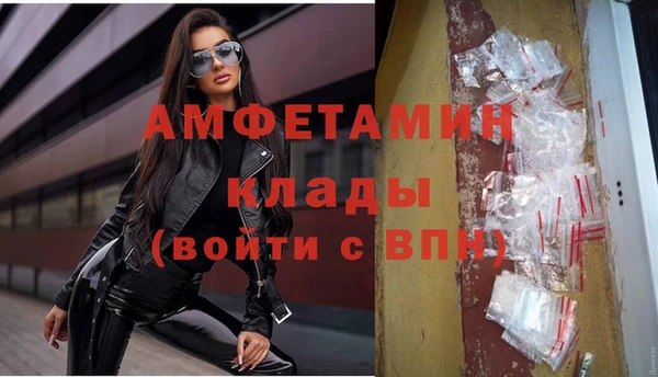 шишки Володарск