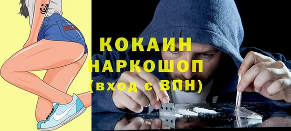 прущие грибы Волоколамск