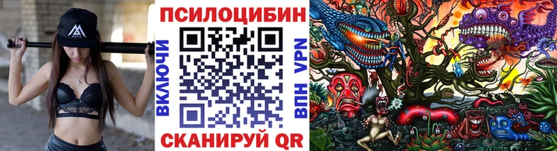 Галлюциногенные грибы MAGIC MUSHROOMS  Емва 