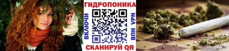 KRAKEN сайт  Емва  Шишки марихуана сатива 